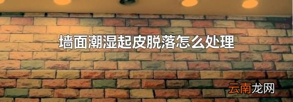 墙面潮湿起皮脱落怎么处理