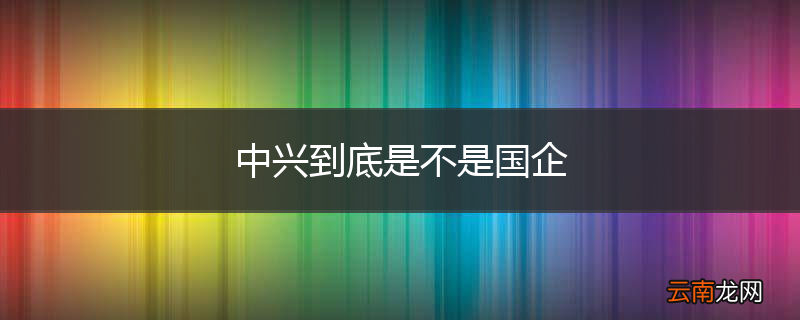 中兴到底是不是国企