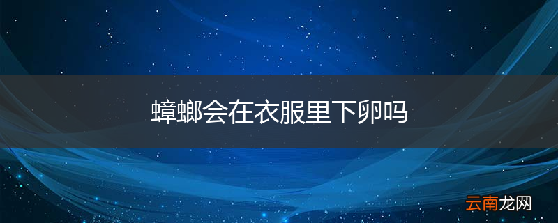 蟑螂会在衣服里下卵吗