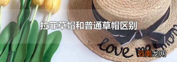 拉菲草帽和普通草帽区别