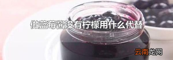 做蓝莓酱没有柠檬用什么代替