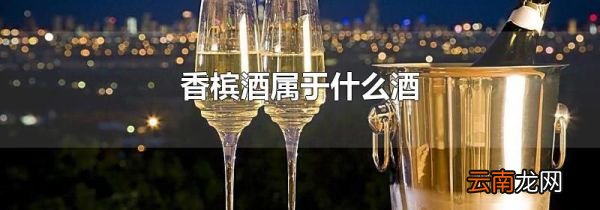 香槟酒属于什么酒
