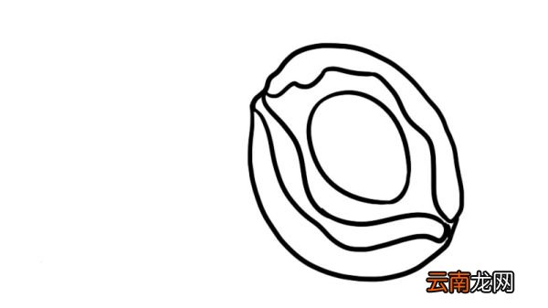 鲍鱼简笔画 鲍鱼怎么画