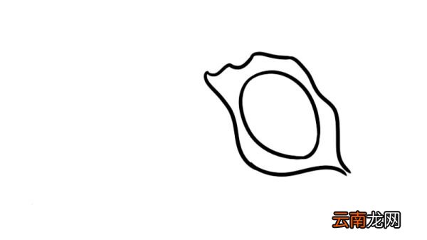 鲍鱼简笔画 鲍鱼怎么画