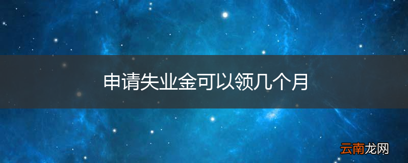 申请失业金可以领几个月