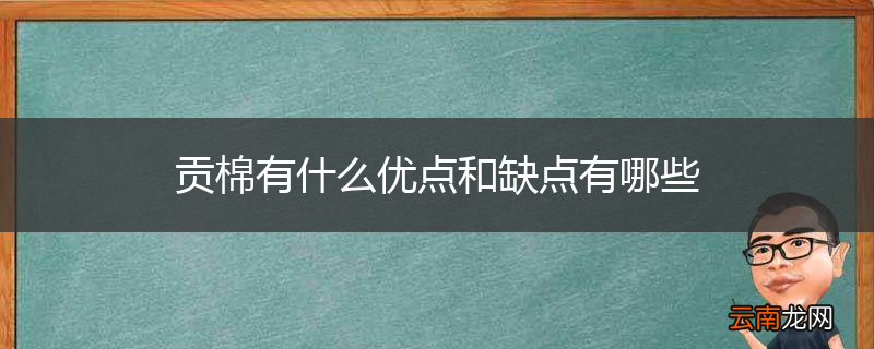 贡棉有什么优点和缺点有哪些