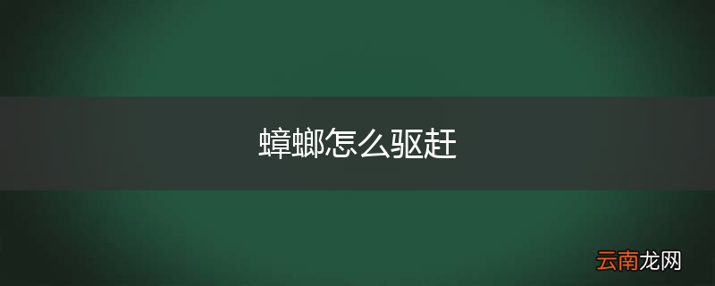 蟑螂怎么驱赶