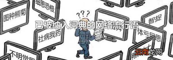 已被纳入词典的网络流行语