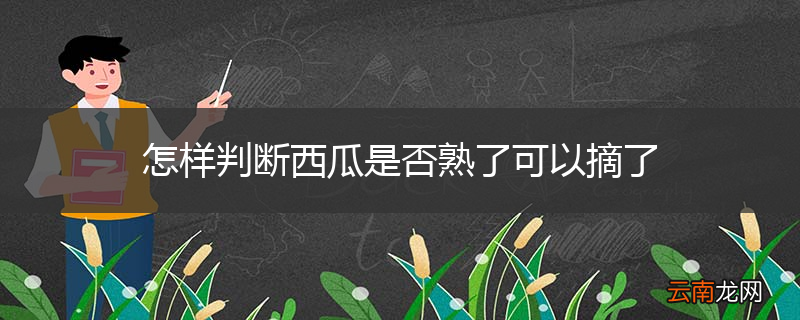 怎样判断西瓜是否熟了可以摘了