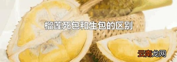 榴莲死包和生包的区别