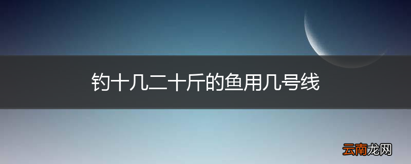 钓十几二十斤的鱼用几号线