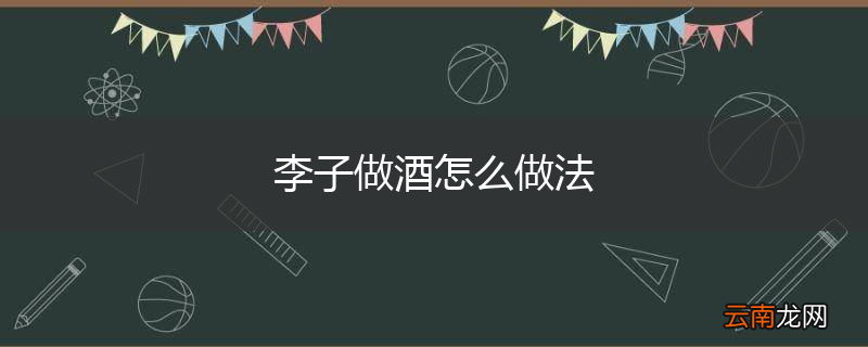李子做酒怎么做法