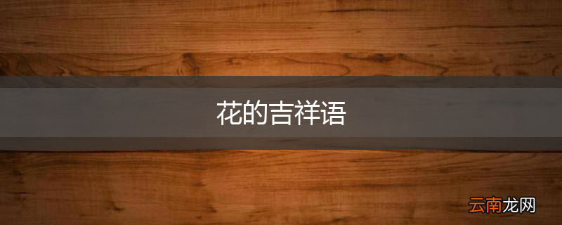 花的吉祥语