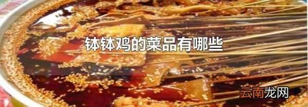 钵钵鸡的菜品有哪些