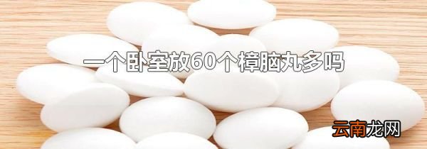 一个卧室放60个樟脑丸多吗