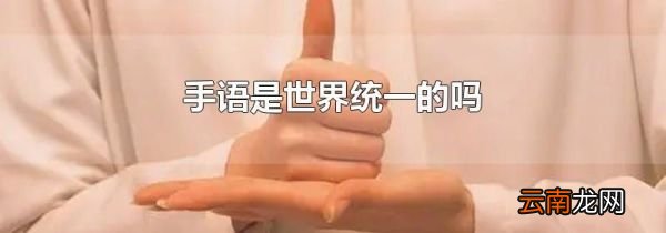 手语是世界统一的吗