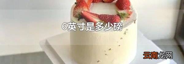 6英寸是多少磅