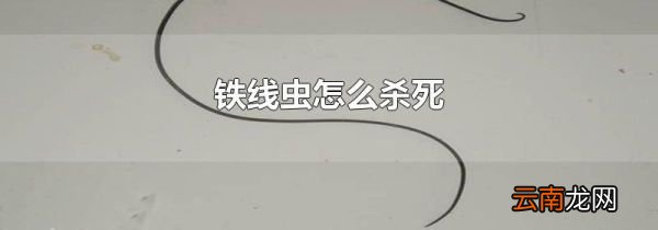 铁线虫怎么杀死