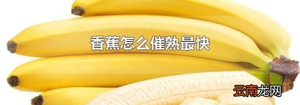 香蕉怎么催熟最快