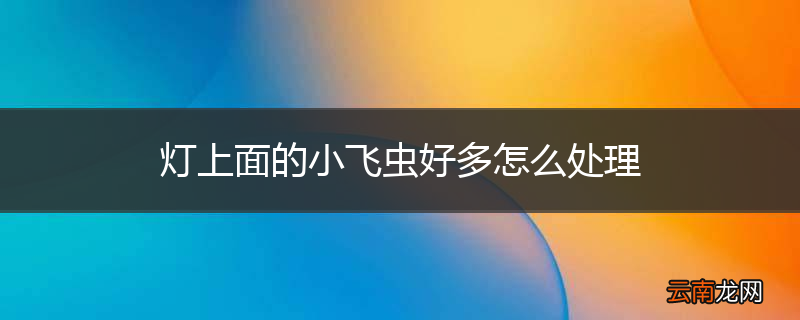 灯上面的小飞虫好多怎么处理
