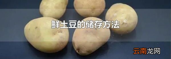 鲜土豆的储存方法
