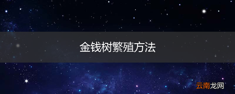 金钱树繁殖方法