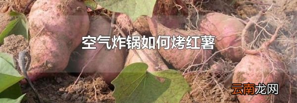 空气炸锅如何烤红薯