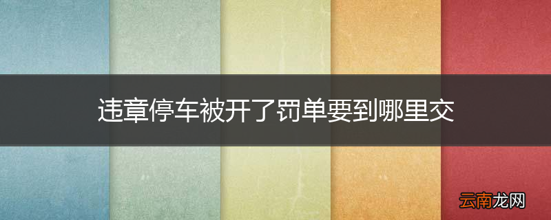 违章停车被开了罚单要到哪里交