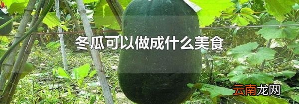冬瓜可以做成什么美食
