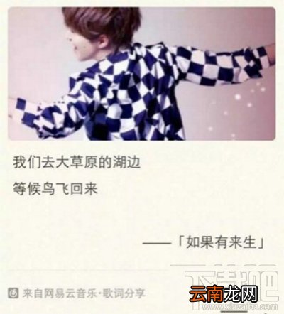 网易云音乐歌词分享教程 网易云音乐歌词怎么分享