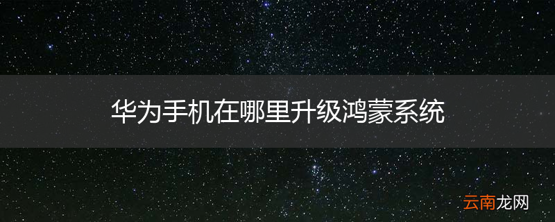 华为手机在哪里升级鸿蒙系统