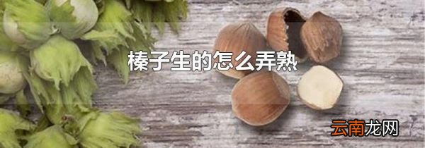 榛子生的怎么弄熟
