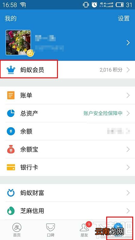 怎么看支付宝等级?怎么看自己是不是支付宝铂金会员?