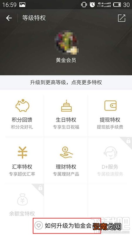 怎么看支付宝等级?怎么看自己是不是支付宝铂金会员?