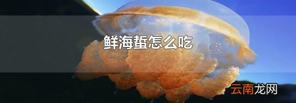 鲜海蜇怎么吃