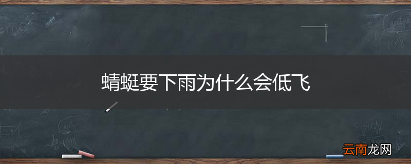 蜻蜓要下雨为什么会低飞