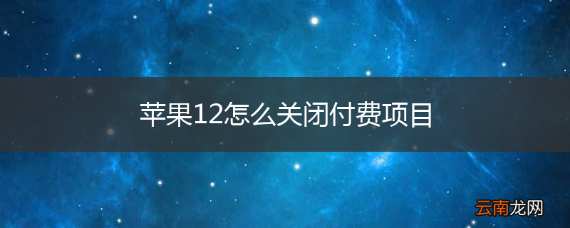苹果12怎么关闭付费项目