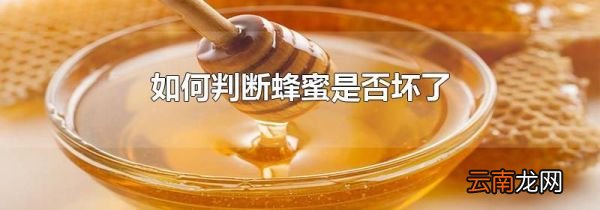 如何判断蜂蜜是否坏了