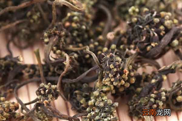 人参花的功效与作用人参花的禁忌人群