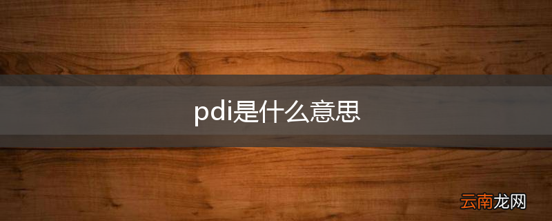 pdi是什么意思