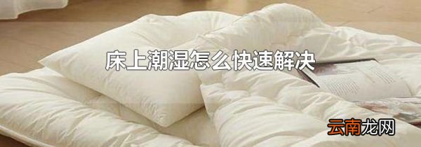 床上潮湿怎么快速解决