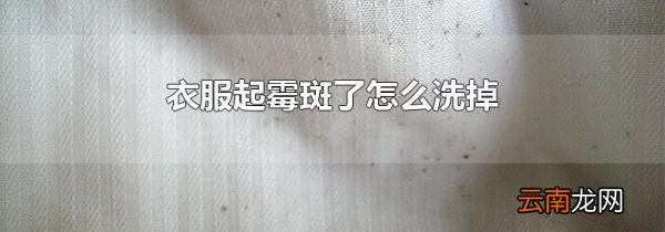 衣服起霉斑了怎么洗掉