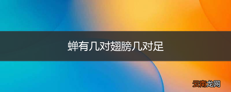 蝉有几对翅膀几对足