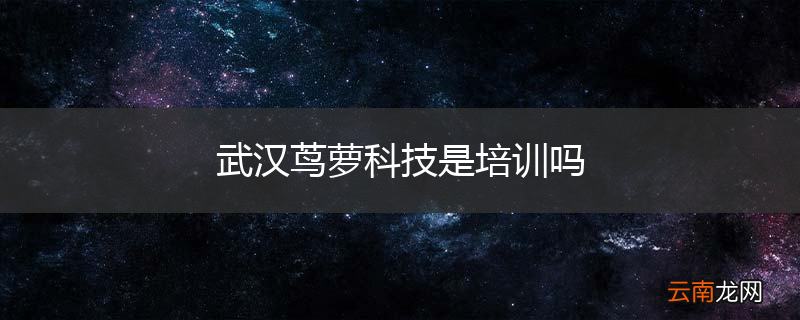 武汉茑萝科技是培训吗