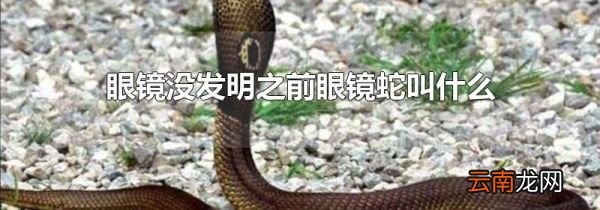 眼镜没发明之前眼镜蛇叫什么