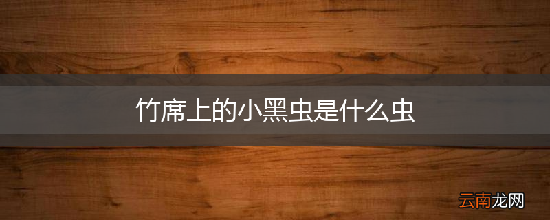 竹席上的小黑虫是什么虫