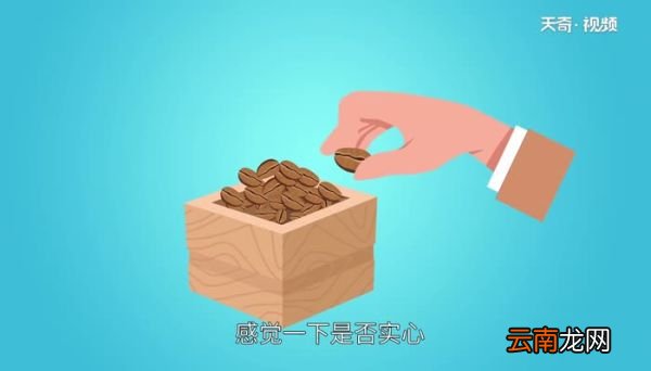 咖啡的种类 咖啡的种类有哪些