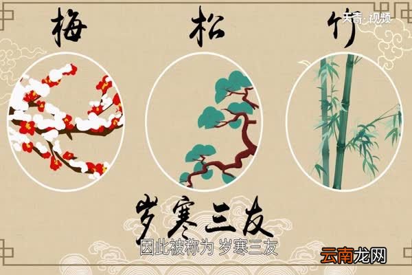 岁寒三友指的是哪三友 岁寒三友的由来