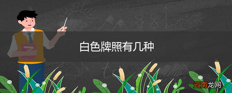 白色牌照有几种