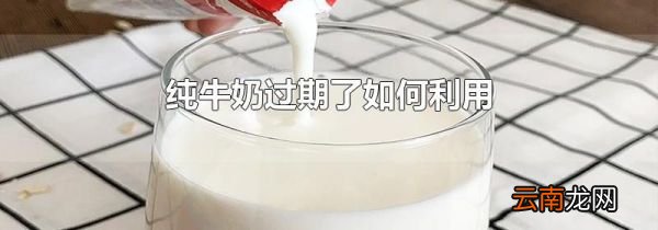 纯牛奶过期了如何利用